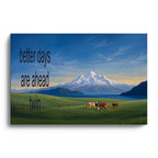 Better Days